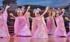 Tang Dynasty Show Cperformance